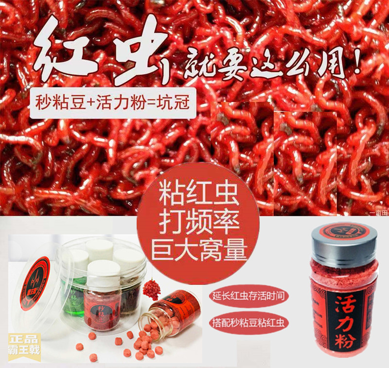 用红虫好还是蚯蚓好,为什么都喜欢用红虫