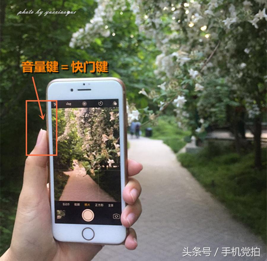 iphone13promax摄影,iphone13promax摄影风格设置