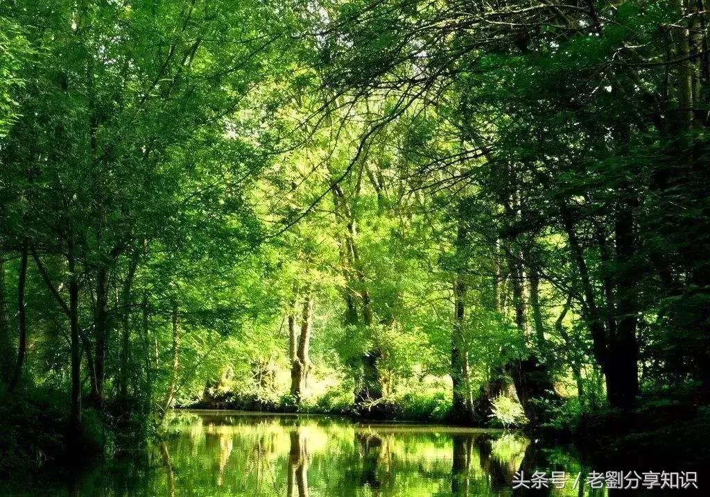 备战期中考｜初一语文上册知识点总结归纳（部编版）2种提纲可选