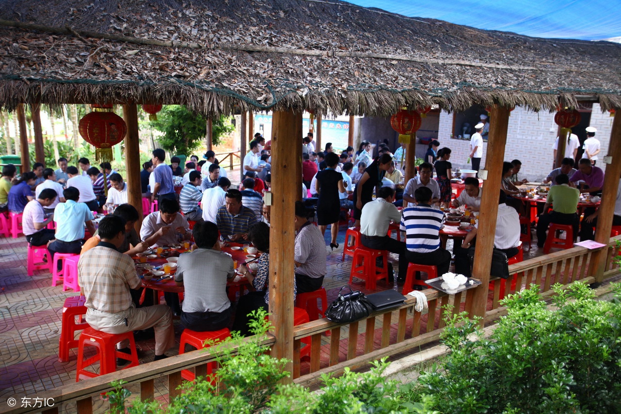 最有前景的农业项目都有哪些呀,农业致富什么项目好