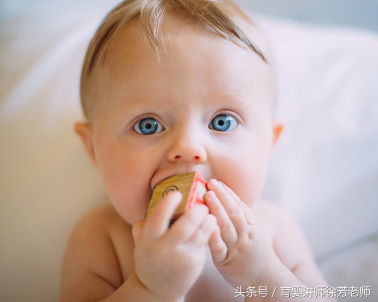 孕期吃营养素,孕期吃的有营养宝宝发育好