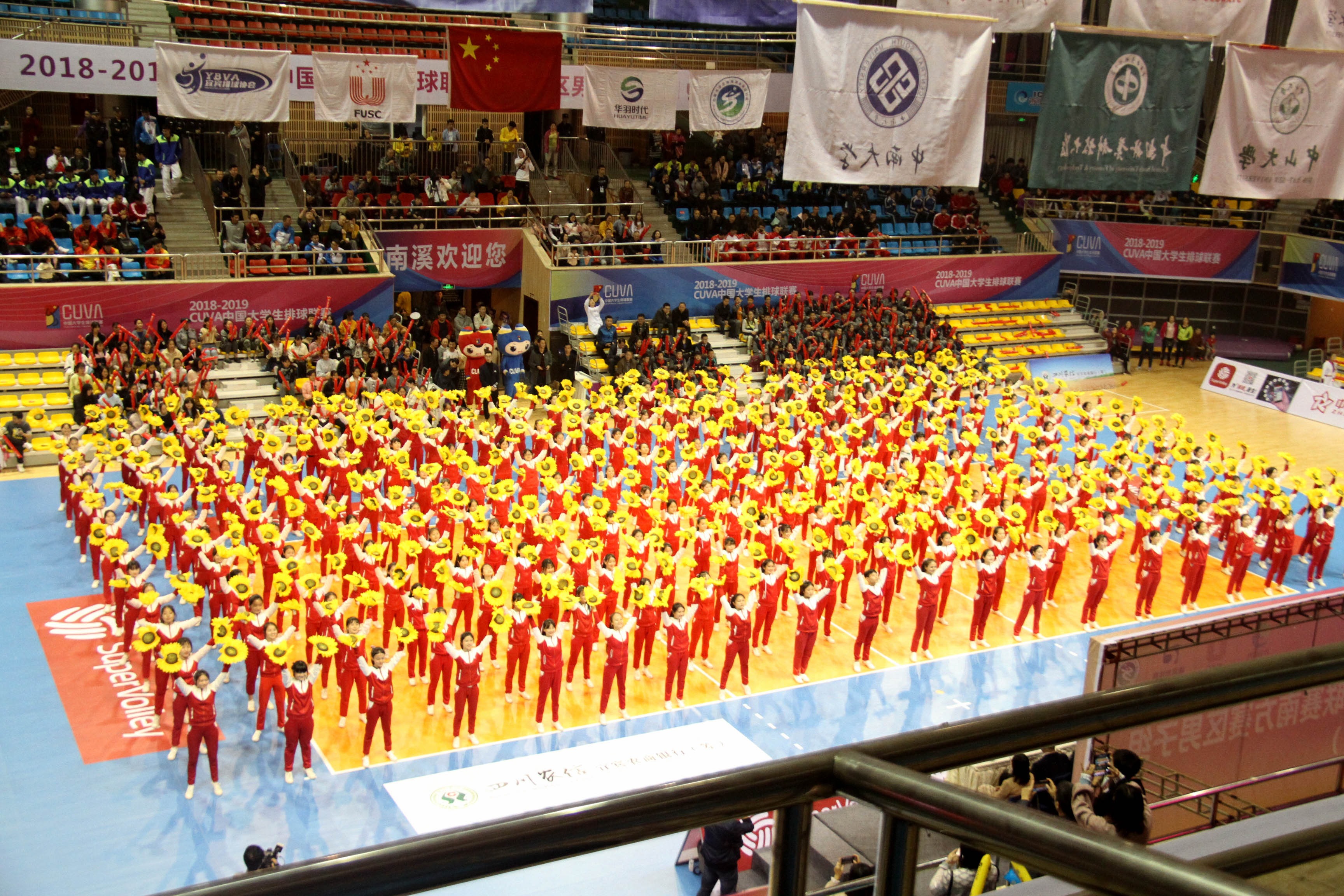 2019中国大学生排球联赛南方赛区,cuva中国大学生排球联赛厦门站