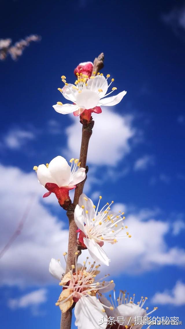 第3期冬青点评：你觉得这10张照片拍的怎么样？看点评学摄影