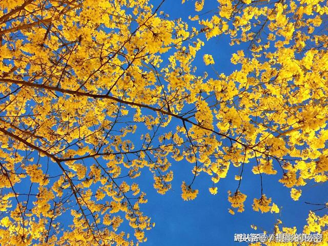 第3期冬青点评：你觉得这10张照片拍的怎么样？看点评学摄影