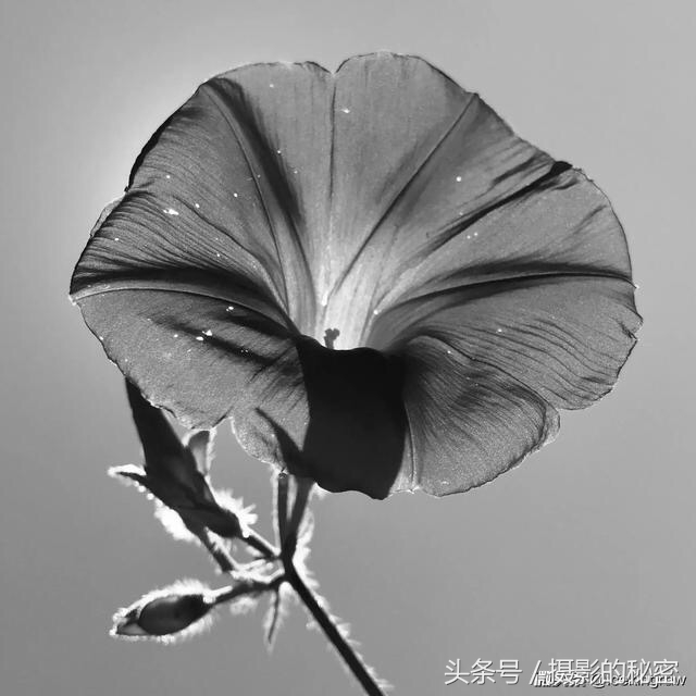 第3期冬青点评：你觉得这10张照片拍的怎么样？看点评学摄影