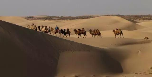 奈曼县近期新闻,奈曼今日新闻最新消息