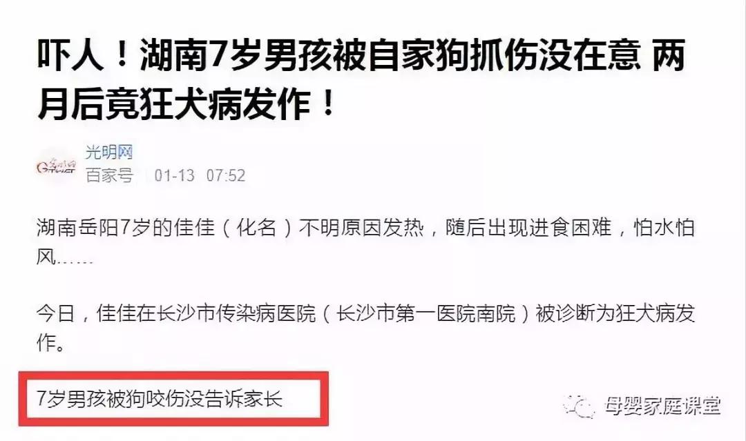 接种狂犬疫苗后又被咬伤怎么处理,被接种狂犬疫苗的猫咬伤有事吗