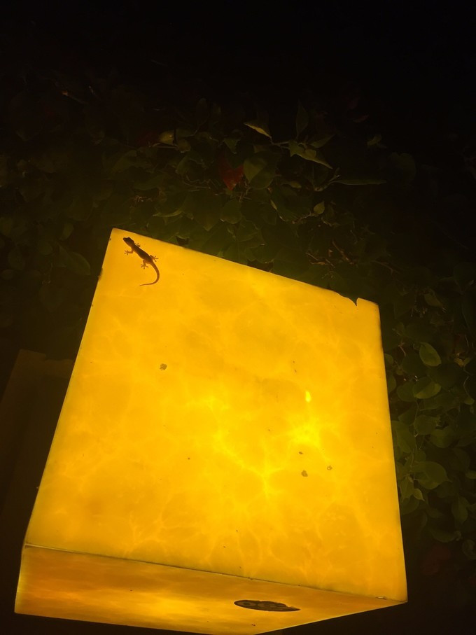 美丽的三亚蓝天白云,三亚蓝天白云美景