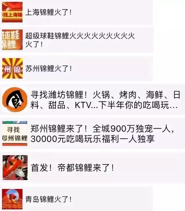 锦鲤*局骗**,细思极恐!