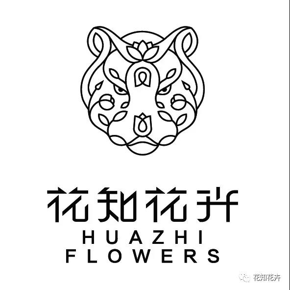 马蹄莲和海芋哪个贵,海芋和马蹄莲区别是什么