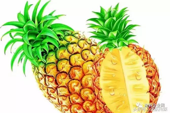 墙漆味道太重怎么去除,怎么除墙漆味最有效