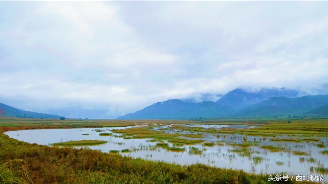 宁夏口音为什么没有前后鼻音,银川人为什么鼻音重