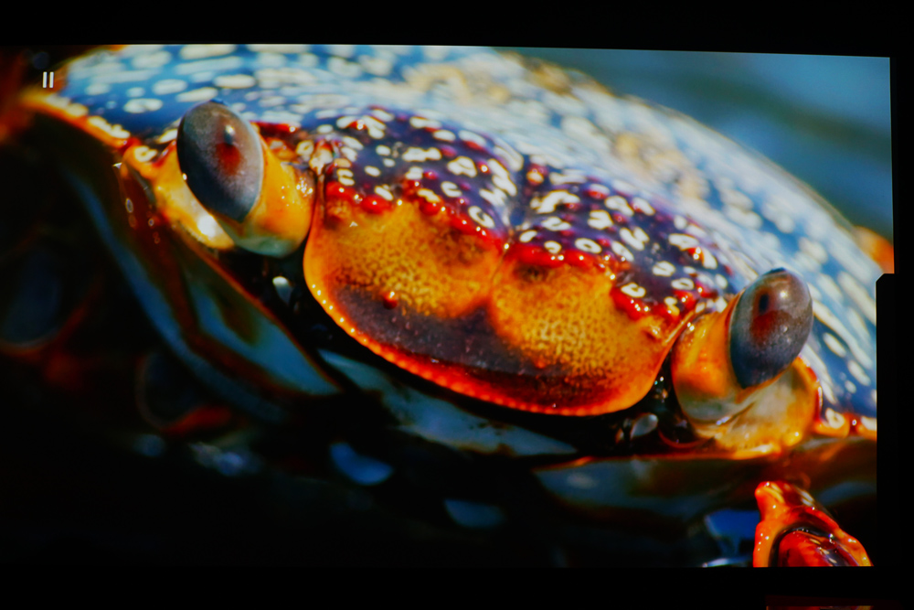 明基最高端的投影,明基最高端投影仪