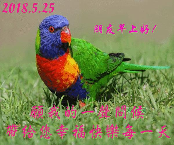 新版周五早上祝福问候动态图片,早上最好动态问候表情包