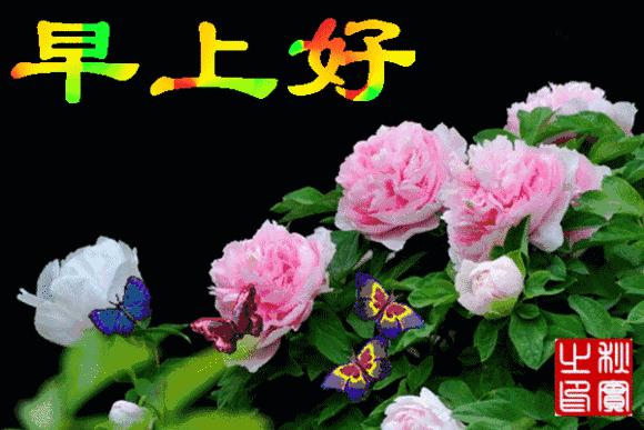 新版周五早上祝福问候动态图片,早上最好动态问候表情包