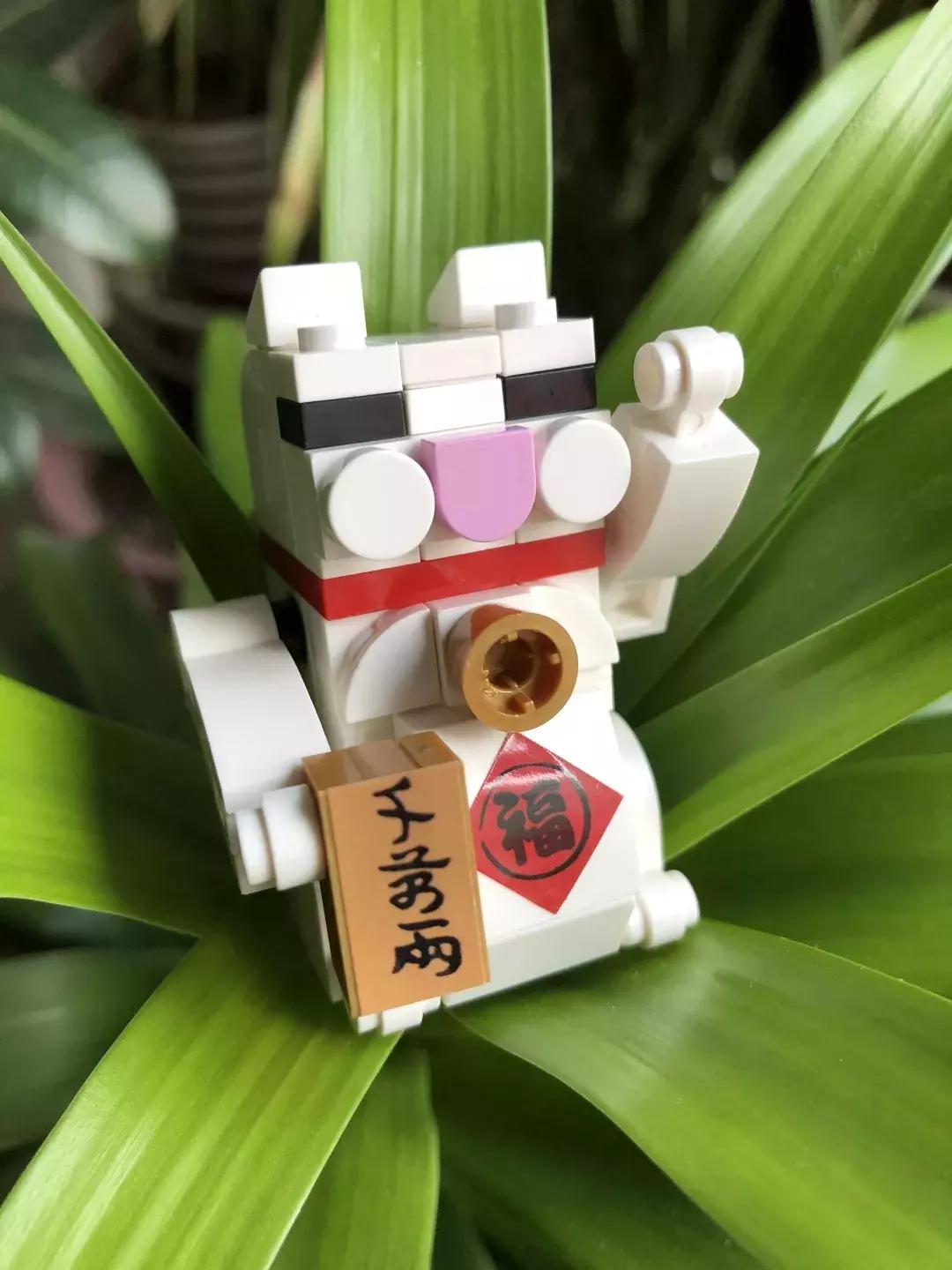 为什么只有招财猫没有狗,为什么招财猫有日文