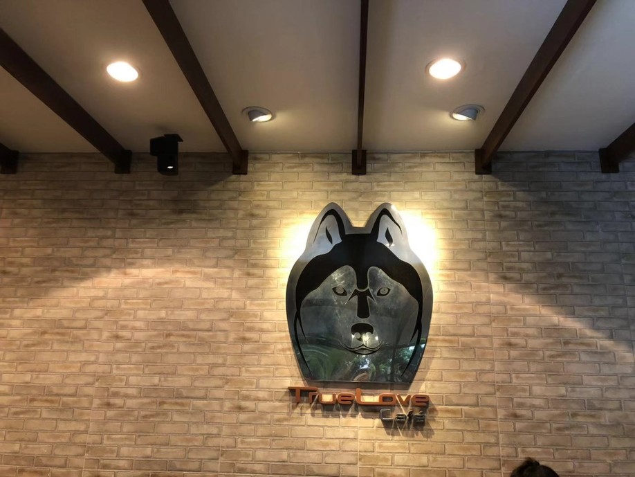 长发美美Sia丫丫带你游遍纸醉金迷曼谷小清新清迈