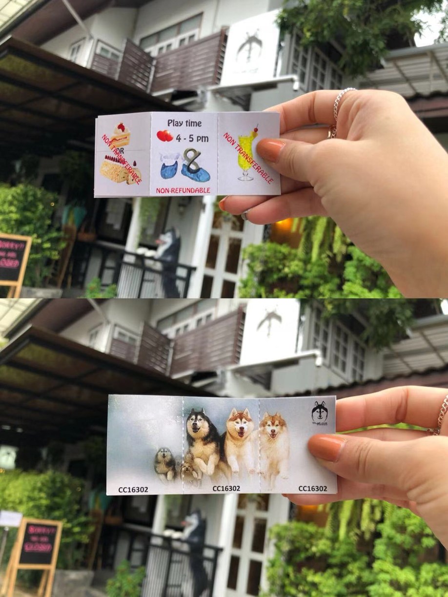 长发美美Sia丫丫带你游遍纸醉金迷曼谷小清新清迈