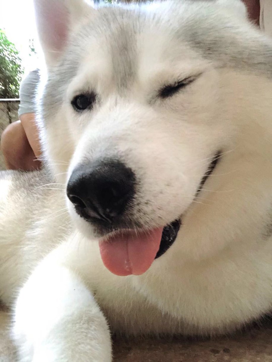 长发美美Sia丫丫带你游遍纸醉金迷曼谷小清新清迈