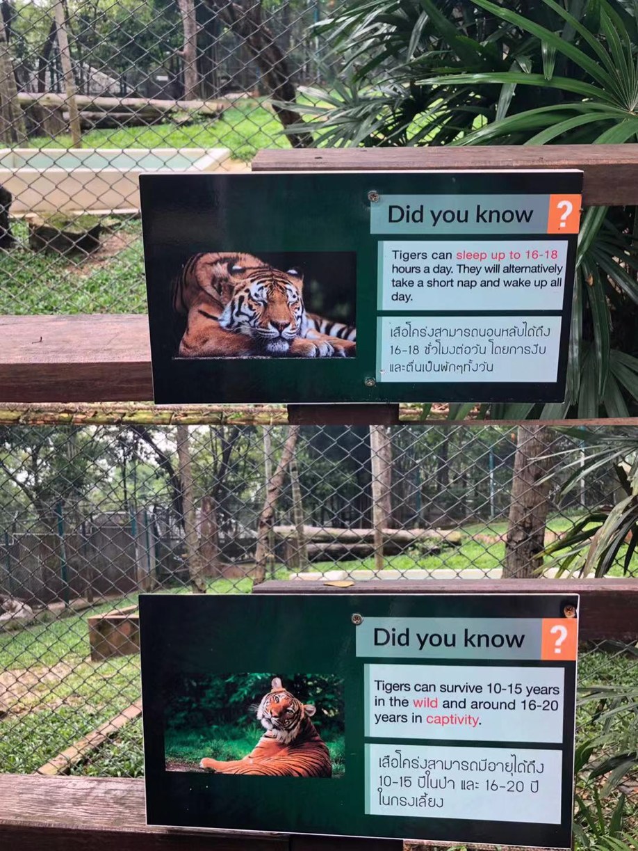 长发美美Sia丫丫带你游遍纸醉金迷曼谷小清新清迈