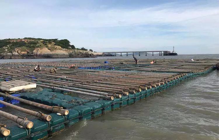 23届中国渔博会,第23届中国渔博会