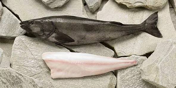 品质好的银鳕鱼,新派银鳕鱼