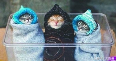 养生大讲堂手脚冰凉怎么办,睡前一招治手脚冰凉