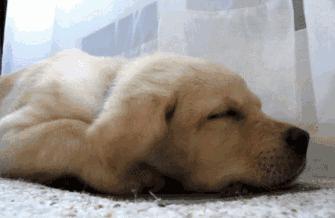 养生大讲堂手脚冰凉怎么办,睡前一招治手脚冰凉