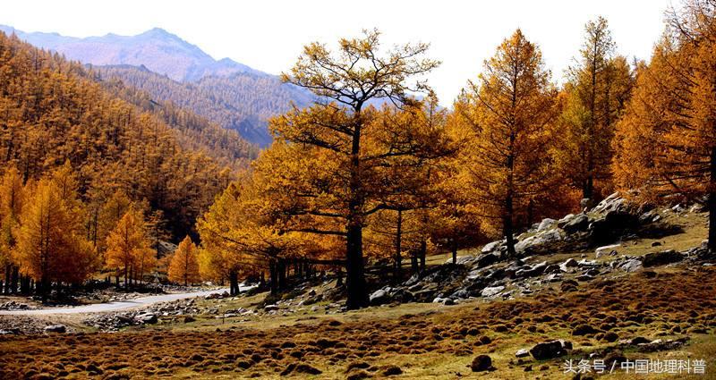 黑龙江省地形地貌与气候特征,2021年黑龙江省气候预测