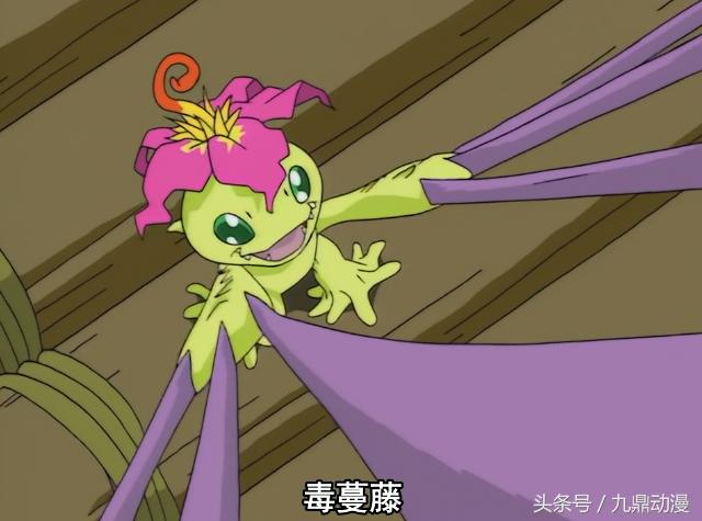 数码宝贝新世代攻击最高是哪个,数码宝贝各个究极体大招