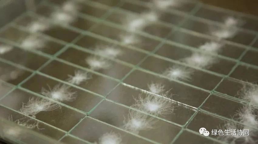 淘宝一百多的羽绒被是真的吗,淘宝上的羽绒被质量可靠吗