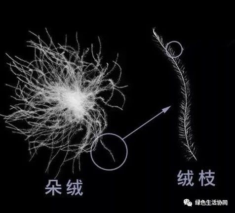 淘宝一百多的羽绒被是真的吗,淘宝上的羽绒被质量可靠吗