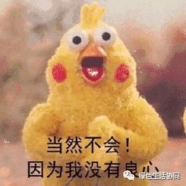 淘宝一百多的羽绒被是真的吗,淘宝上的羽绒被质量可靠吗