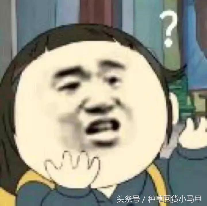 小红书千万不要搜的东西,小红书十块钱值得买的