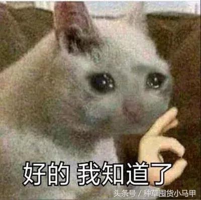 小红书千万不要搜的东西,小红书十块钱值得买的