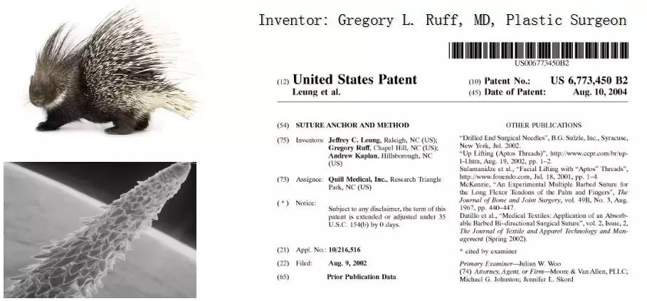 施尔美春季新品发布会,施尔美新品发布直播