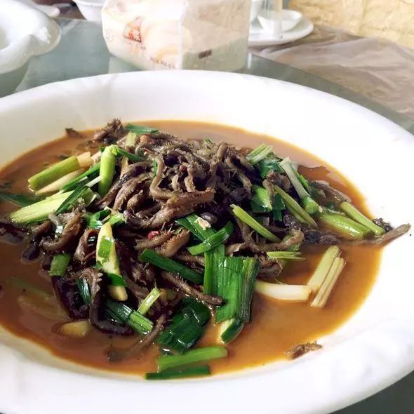 农村最怕哪三种虫,农村家中常见的虫