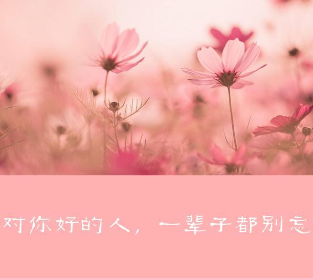 拿你当傻子的人一辈子都别交吗,拿你当傻子的人一辈子都不要深交