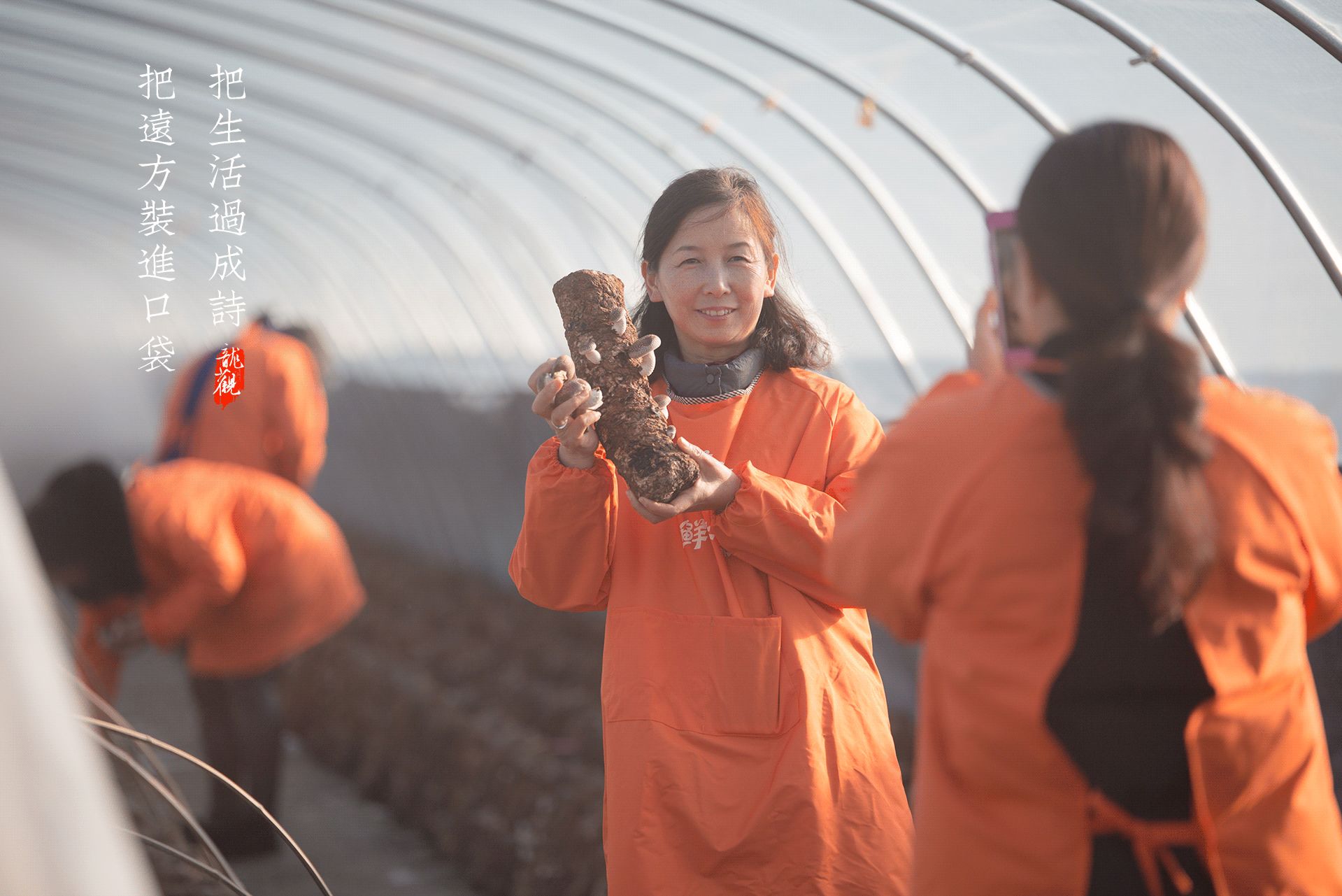 把远方装进口袋,把生活过成诗,带你龙观一日游