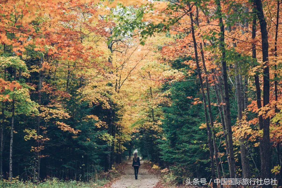 看我72变百变字母秀,看我72变改编