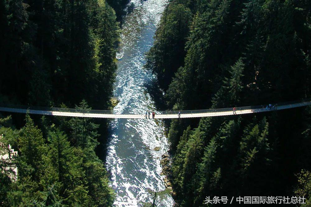 看我72变百变字母秀,看我72变改编