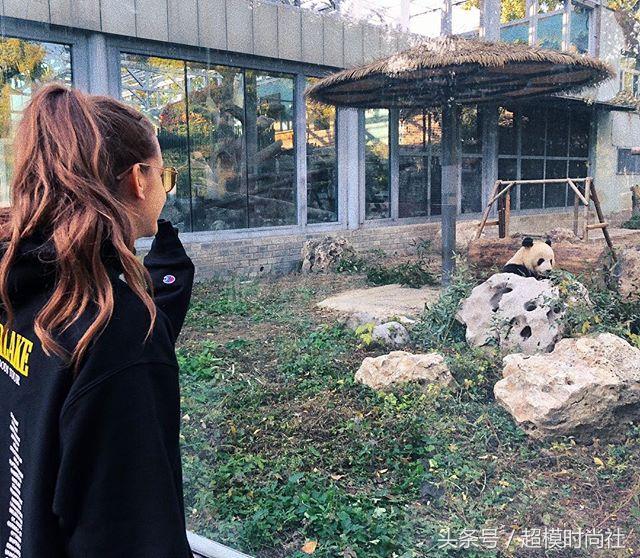 肯豆贝拉gigi街拍,超模gigi肯豆