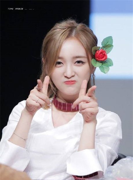 火箭少女现在的成员都怎么样了,火箭少女解散后第一次合体