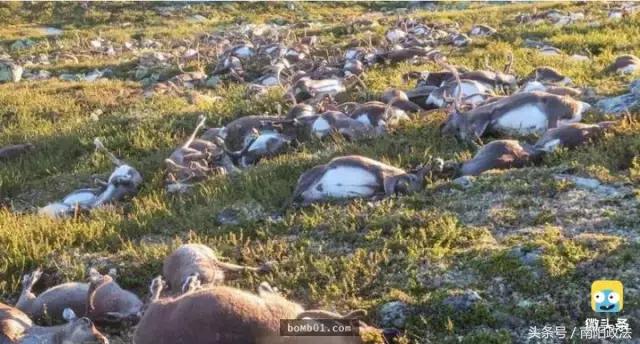 被雷劈是种什么样的体验?看完简直身受同感