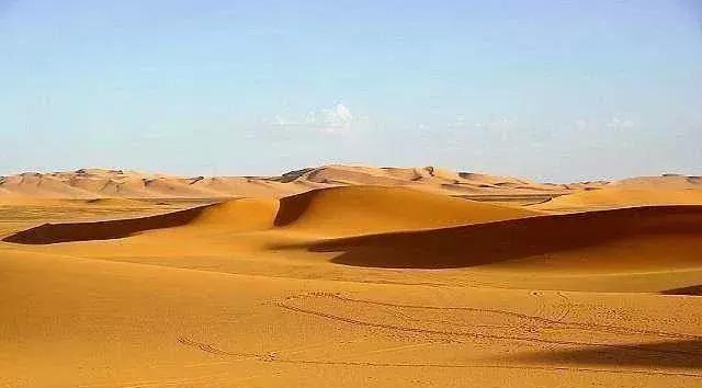 沙漠骆驼这首歌是哪一年流行的,沙漠骆驼歌词分析