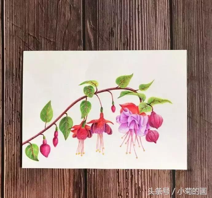 手工灯笼古风花,彩铅喇叭花教程