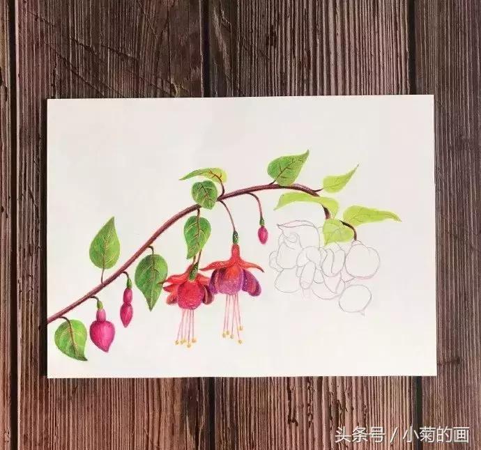 手工灯笼古风花,彩铅喇叭花教程