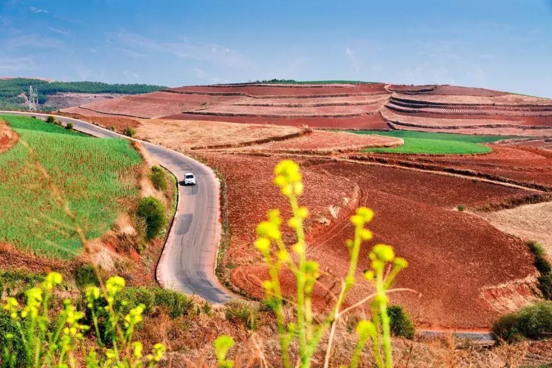 昆明市好消息,云南昆明好消息
