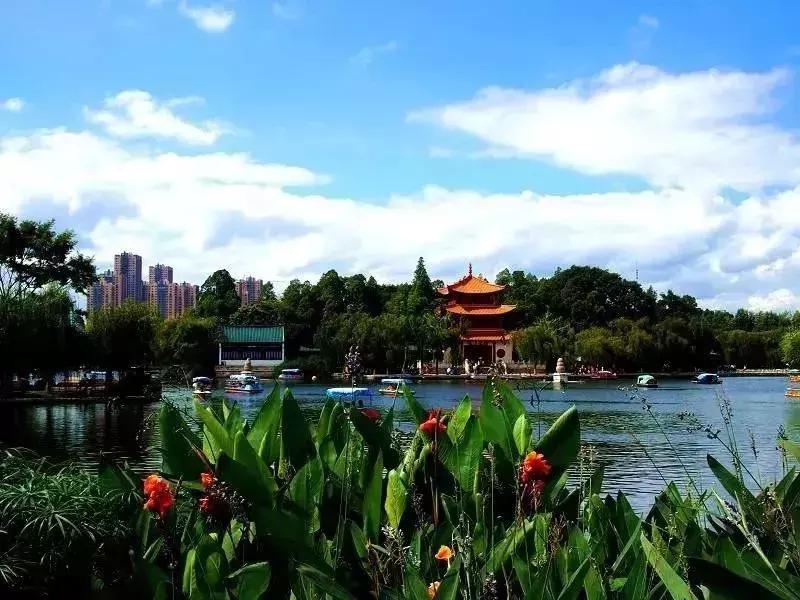 昆明市好消息,云南昆明好消息