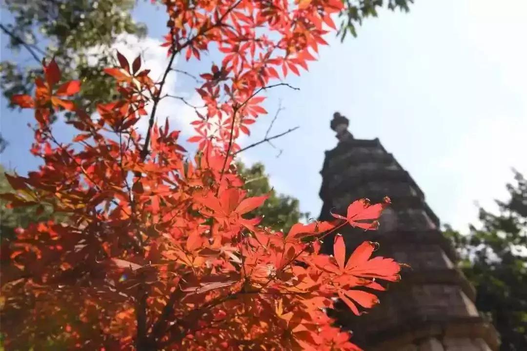 昆明市好消息,云南昆明好消息